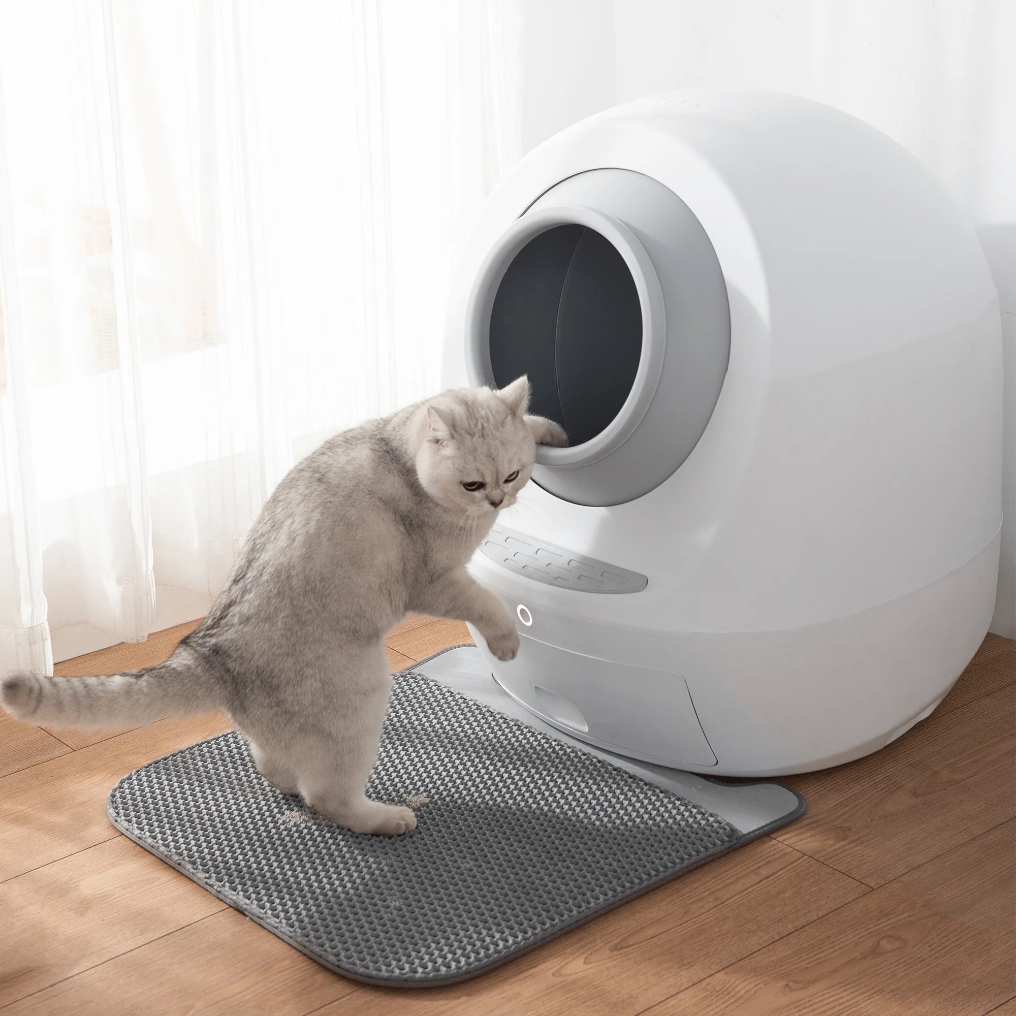 Accessory: Litter Mat (Color Matched) - Image 37